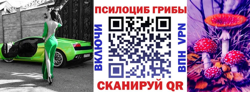 Галлюциногенные грибы Magic Shrooms  Снежногорск 